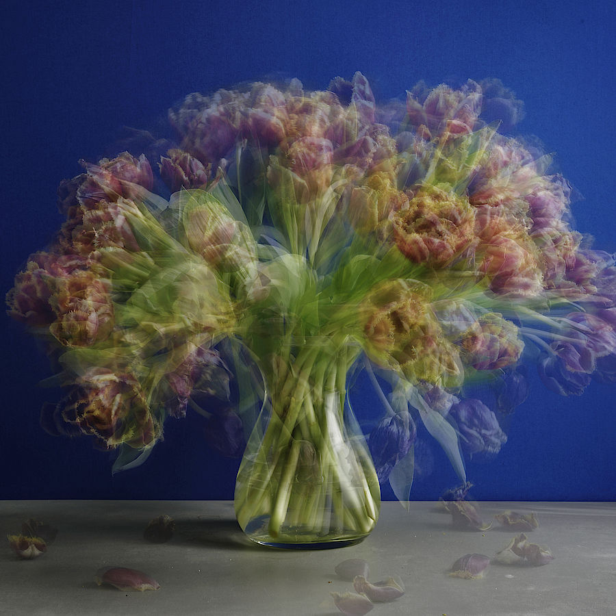 1.4. - 7.4.2022 1.4. - 7.4.2022